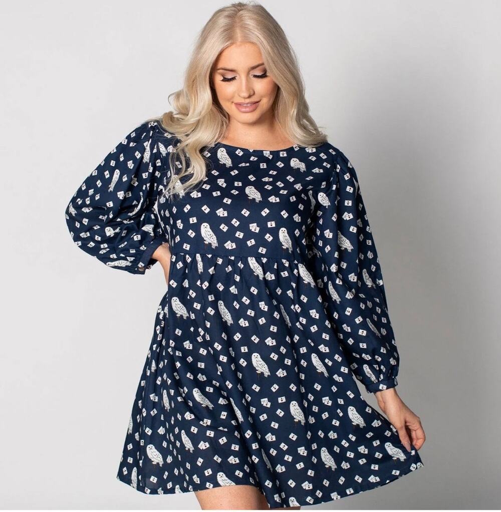 Cakeworthy x Harry Potter Blue Hedwig Owl Pattern  Babydoll Dress Size XL